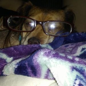 Meet your Posher, Morgan